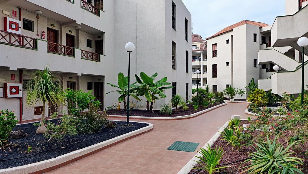 Apartment Andorra Playa de las Americas  Zewnętrze zdjęcie